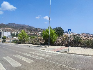 GREGAL 11