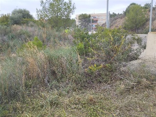 GREGAL 15
