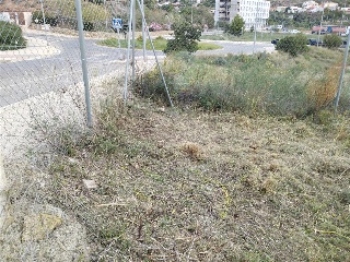 GREGAL 16