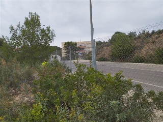 GREGAL 24