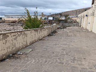 PEIRO ESCALA 13