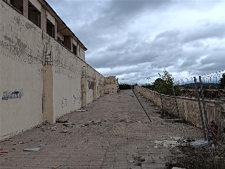 PEIRO ESCALA 14