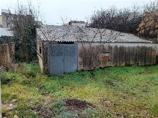 MOLINO DEL CASTELL 23