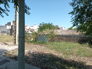 MOLINO DEL CASTELL 36