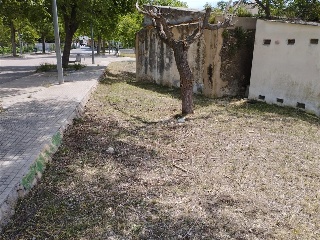 MOLINO DEL CASTELL 41