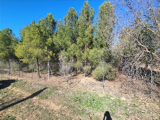 Paraje TIERRA DE LA CAPILLA S/N 10