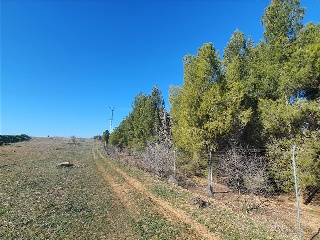 Paraje TIERRA DE LA CAPILLA S/N 12