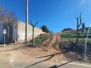 Paraje TIERRA DE LA CAPILLA S/N 15