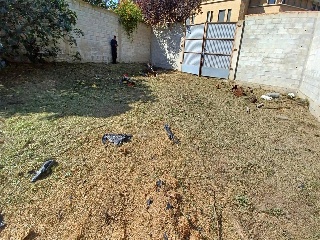 ALBERTO CASAÑAL. Sector UE-5. Parcela E 18