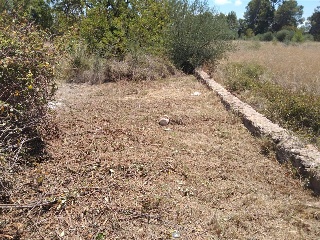 Tossalet, Poligono 47, Parcela, Nº 103 16