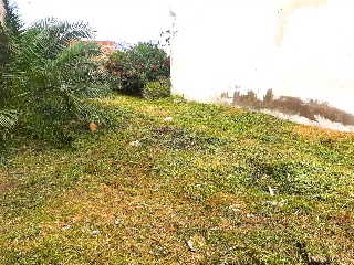 PLANA BAIXA 10