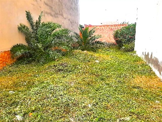 PLANA BAIXA 11