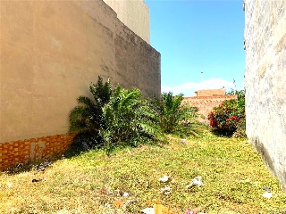 PLANA BAIXA 12