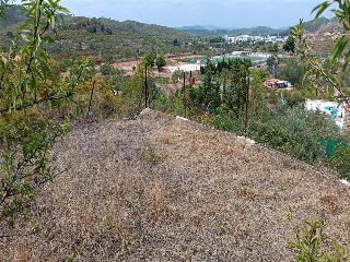 FELIX RGUEZ DE LA FUENTE 5