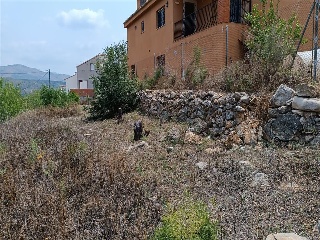 FELIX RGUEZ DE LA FUENTE 9