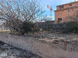 FELIX RGUEZ DE LA FUENTE 11