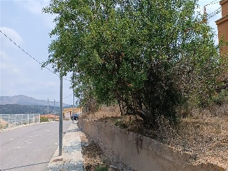 FELIX RGUEZ DE LA FUENTE 12
