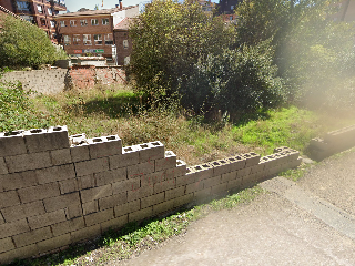 MAYOR 11