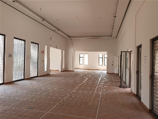Av De La Alcanara 13