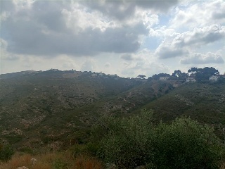 PERIS Y VALERO 23