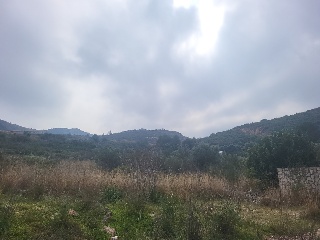 PAI PENYA ROJA 15