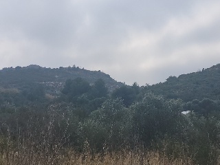 PAI PENYA ROJA 16