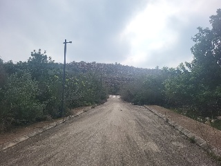 PAI PENYA ROJA 17