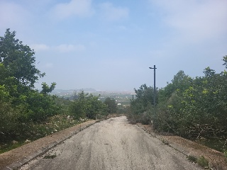 PAI PENYA ROJA 18