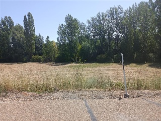 PARAJE TRAS EL PRADO NUEVO, POLIGONO 5, PARCELA 14