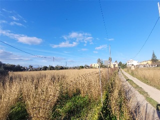 POLÍGONO 24, BOVALAR, PARCELA 10