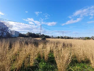 POLÍGONO 24, BOVALAR, PARCELA 12