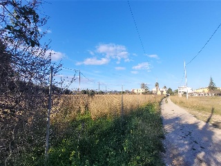 POLÍGONO 24, BOVALAR, PARCELA 14