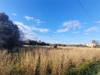 POLÍGONO 24, BOVALAR, PARCELA 15