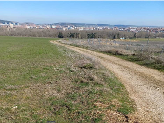 SITIO DE ARCO LA VIEJA, POLIGONO 34 PARCELA 86 20