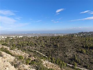 COSTERA NEGRA;PARCELA 173 21