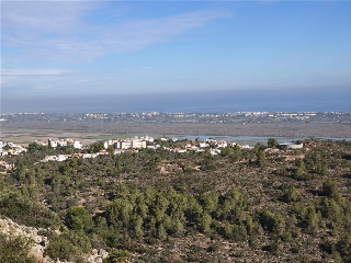 COSTERA NEGRA;PARCELA 173 23