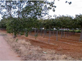 Otros en venta en Villarrobledo