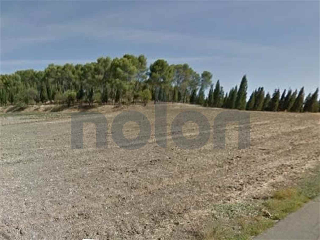 otros en venta , Cabanas De La Sagra , 43660 m2 4