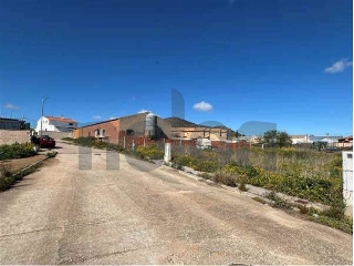 otros en venta , Noez 8