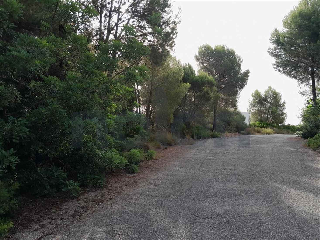 otros en venta , Alginet , 476 m2 10
