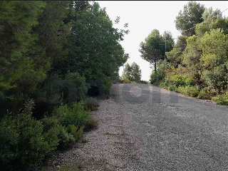 otros en venta , Alginet , 476 m2 11