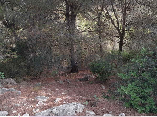 otros en venta , Alginet , 476 m2 13