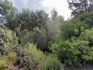 otros en venta , Alginet , 476 m2 14