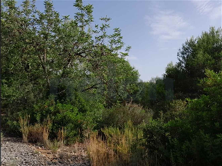 otros en venta , Alginet , 865 m2 6