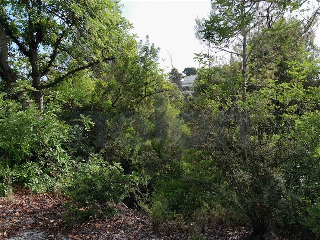 otros en venta , Alginet , 865 m2 8