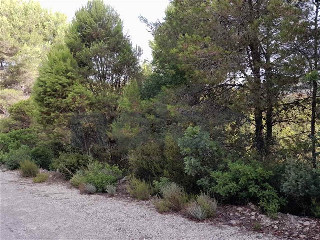otros en venta , Alginet , 865 m2 11