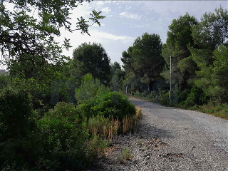 otros en venta , Alginet , 865 m2 14