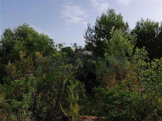 otros en venta , Alginet , 865 m2 15