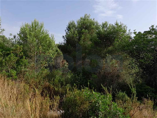 otros en venta , Alginet , 865 m2 16