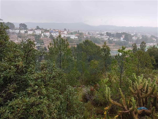 otros en venta , Catadau , 679 m2 2
